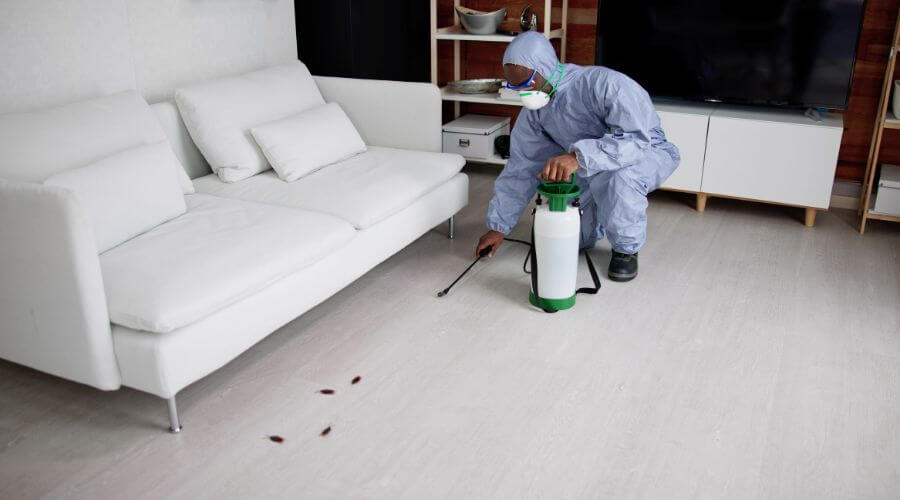 Why choose Willow Springs Lake Roach Control for roach control in Willow Springs Lake